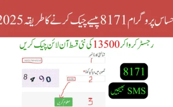 احساس پروگرام 8171 پیسے چیک کرنے کا طریقہ 2025