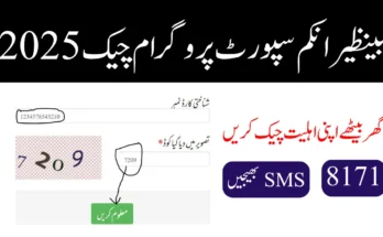 بینظیر انکم سپورٹ پروگرام چیک 2025