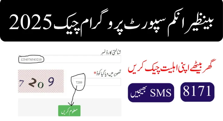بینظیر انکم سپورٹ پروگرام چیک 2025