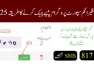 بے نظیر انکم سپورٹ پروگرام پیسے چیک کرنے کا طریقہ