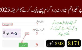 بے نظیر انکم سپورٹ پروگرام پیسے چیک کرنے کا طریقہ