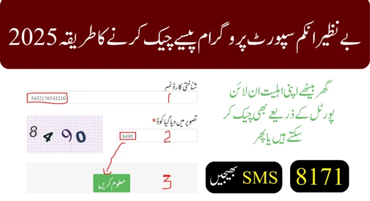 بے نظیر انکم سپورٹ پروگرام پیسے چیک کرنے کا طریقہ